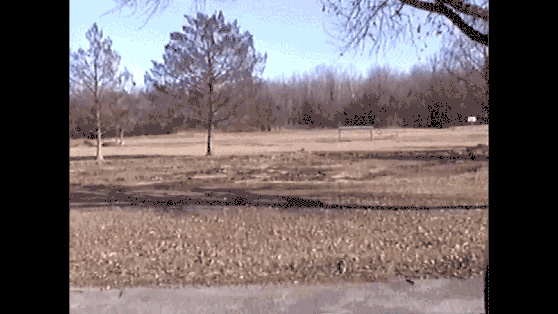 The Park